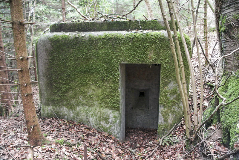 Ligne Maginot - GEBIRGMATTEN SUD - (Blockhaus pour arme infanterie) -  - Alain Perouffe