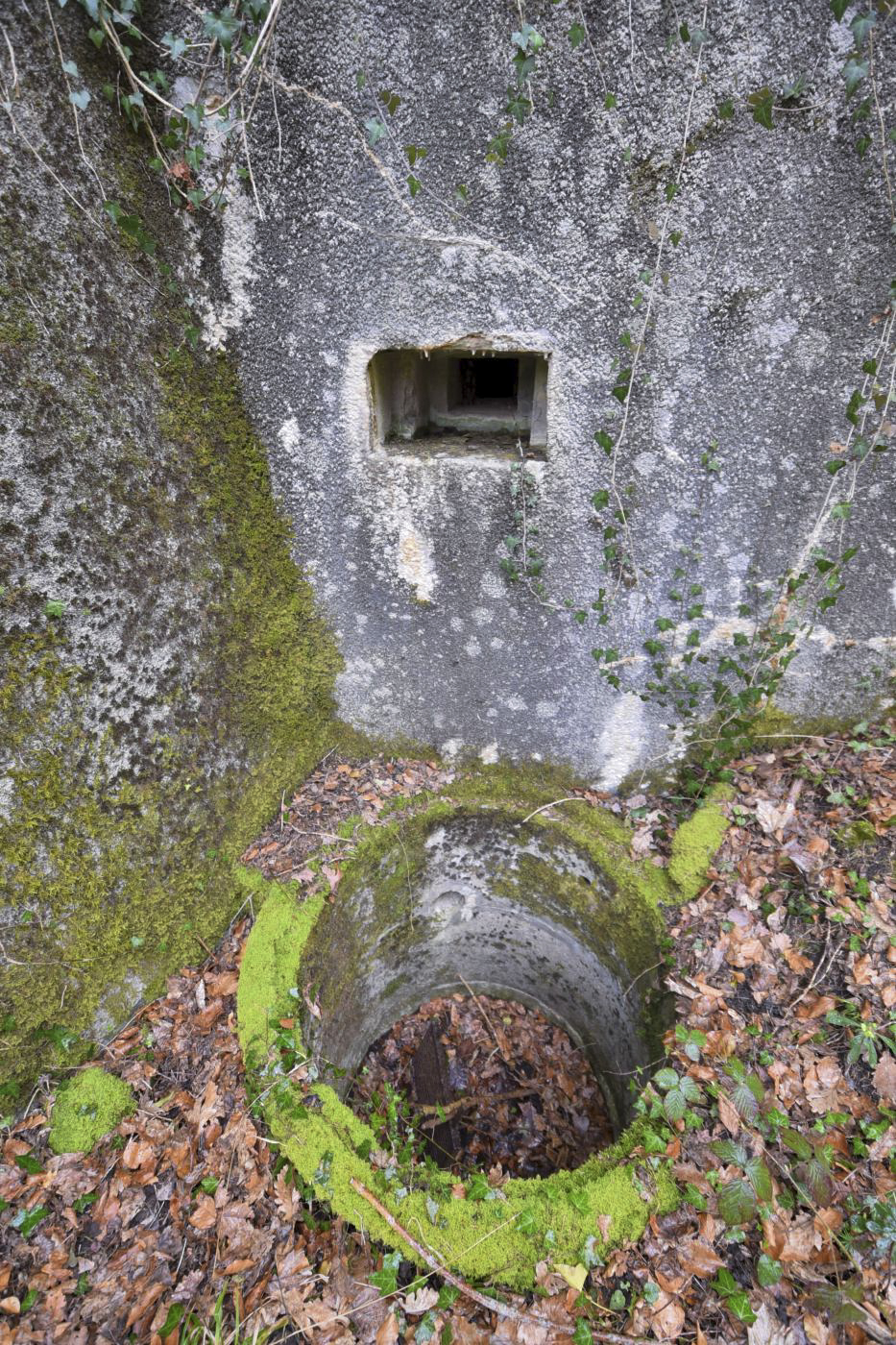 Ligne Maginot - HORNI-FERME - (Blockhaus pour arme infanterie) -  - Ludovic KNAPP