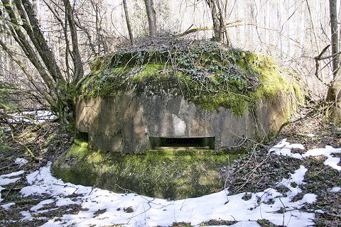 Ligne Maginot - COTE 811 - (Observatoire d'artillerie) -  - AALMA - lignemaginot.com