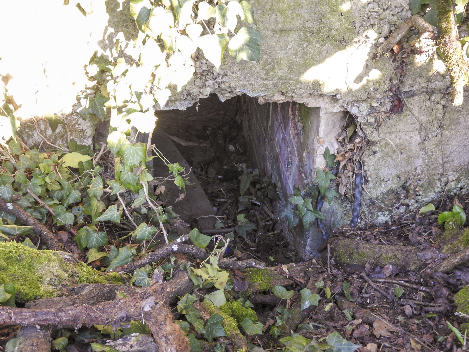 Ligne Maginot - CB611BIS - MOULIN BAS OUEST - (Blockhaus pour arme infanterie) - L'entrée du blockhaus. - STENGER Mathieu