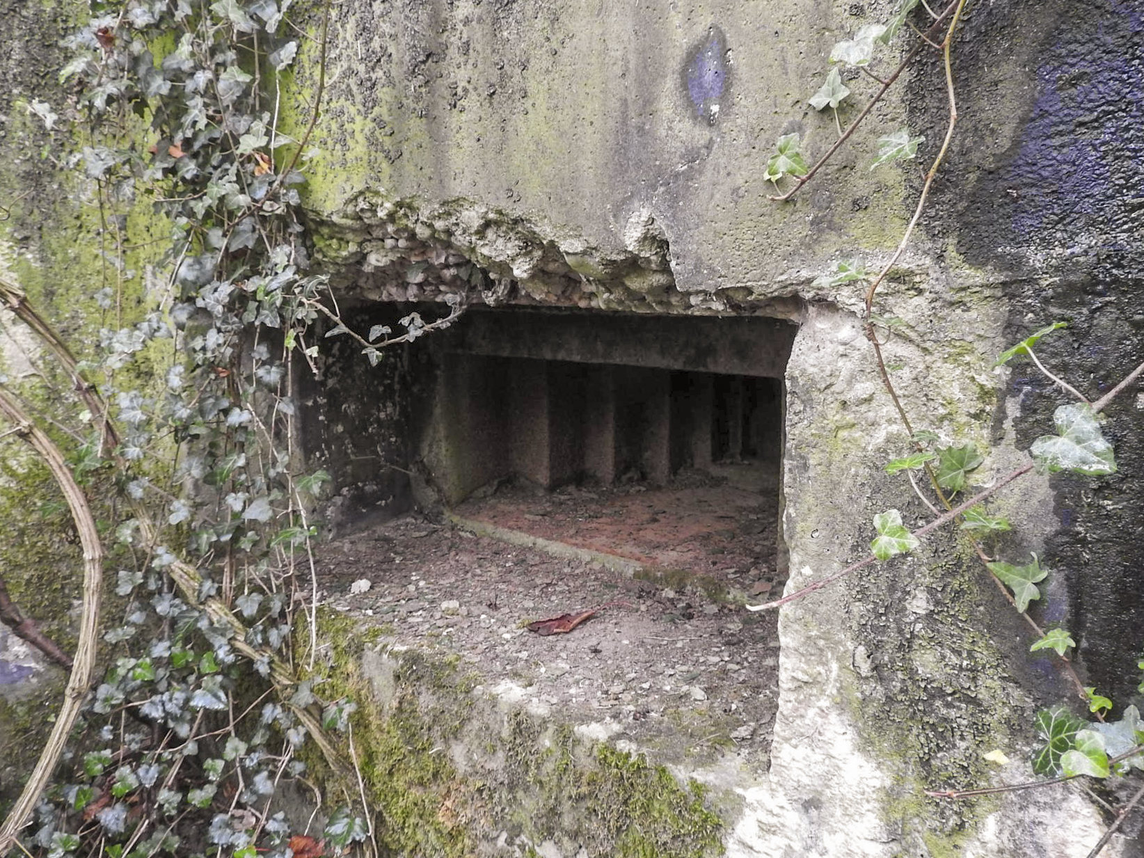 Ligne Maginot - ROUY 1 - (Blockhaus pour arme infanterie) - Le créneau pour mitrailleuse. - STENGER Mathieu