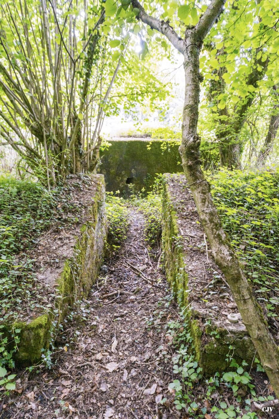 Ligne Maginot - ROUY 2 - (Blockhaus pour canon) - Tranchée vers l'entrée des hommes - Lia VERMEULEN