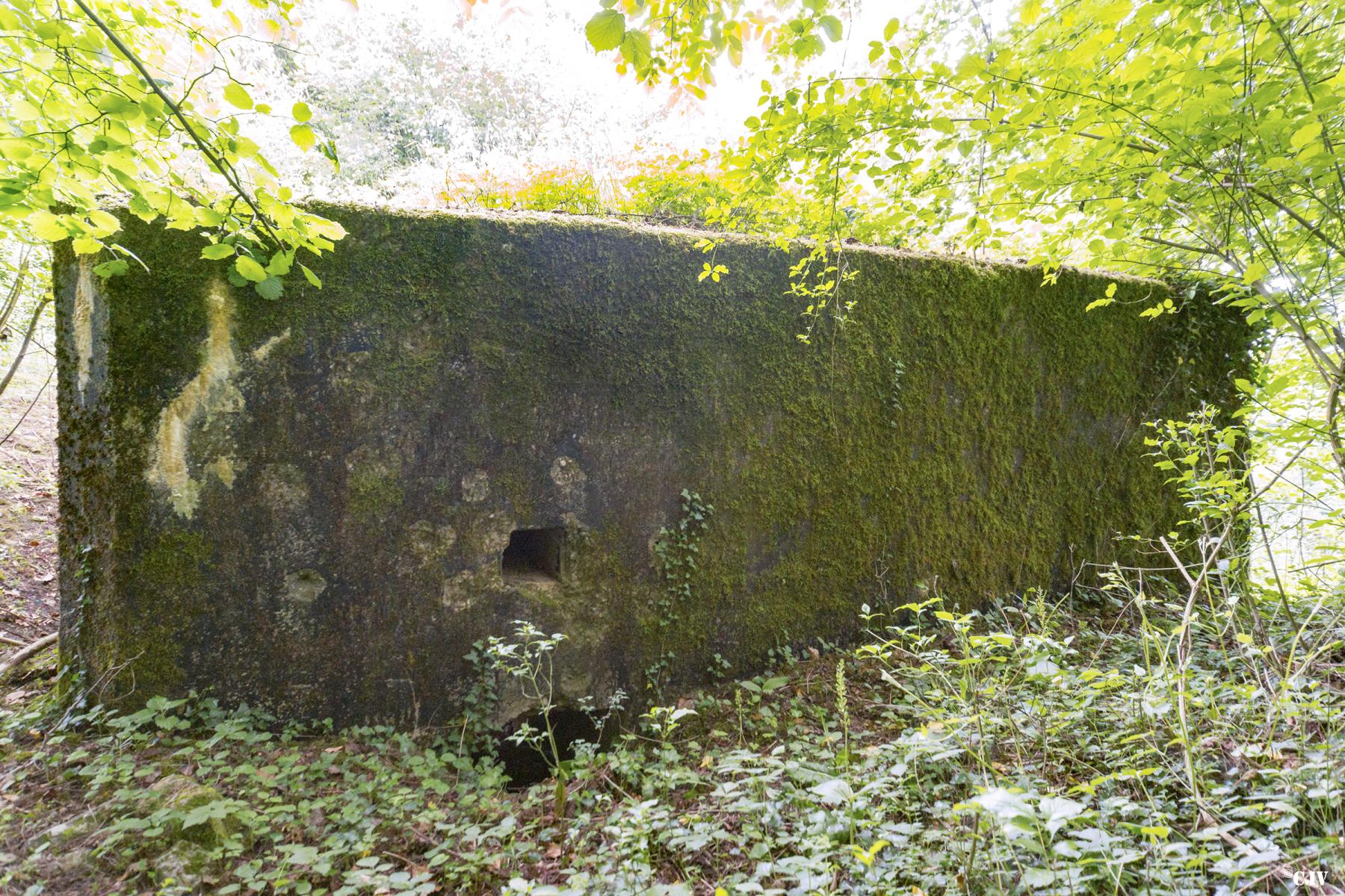 Ligne Maginot - ROUY 2 - (Blockhaus pour canon) - L'entrée des hommes - Lia VERMEULEN