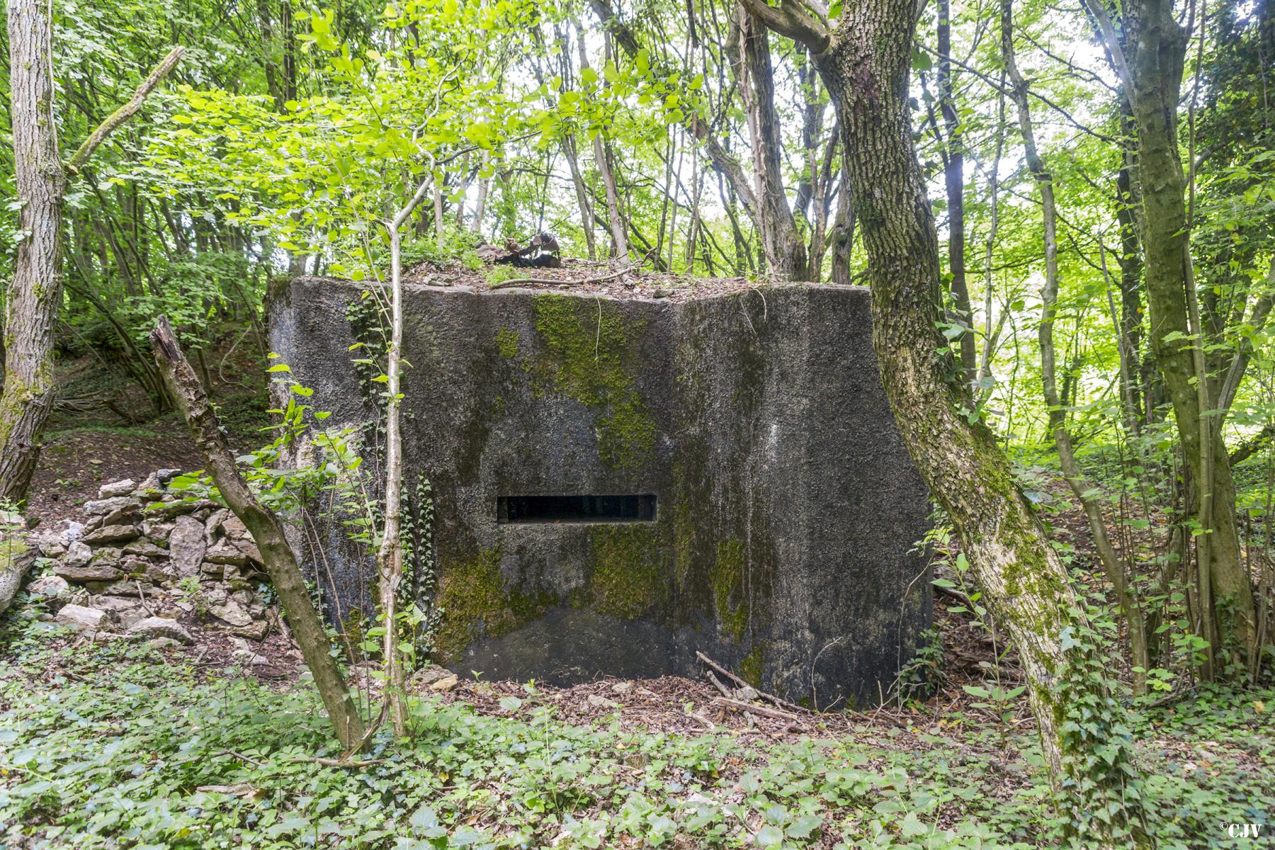 Ligne Maginot - ROUY 3 - (Blockhaus pour arme infanterie) -  - Lia VERMEULEN