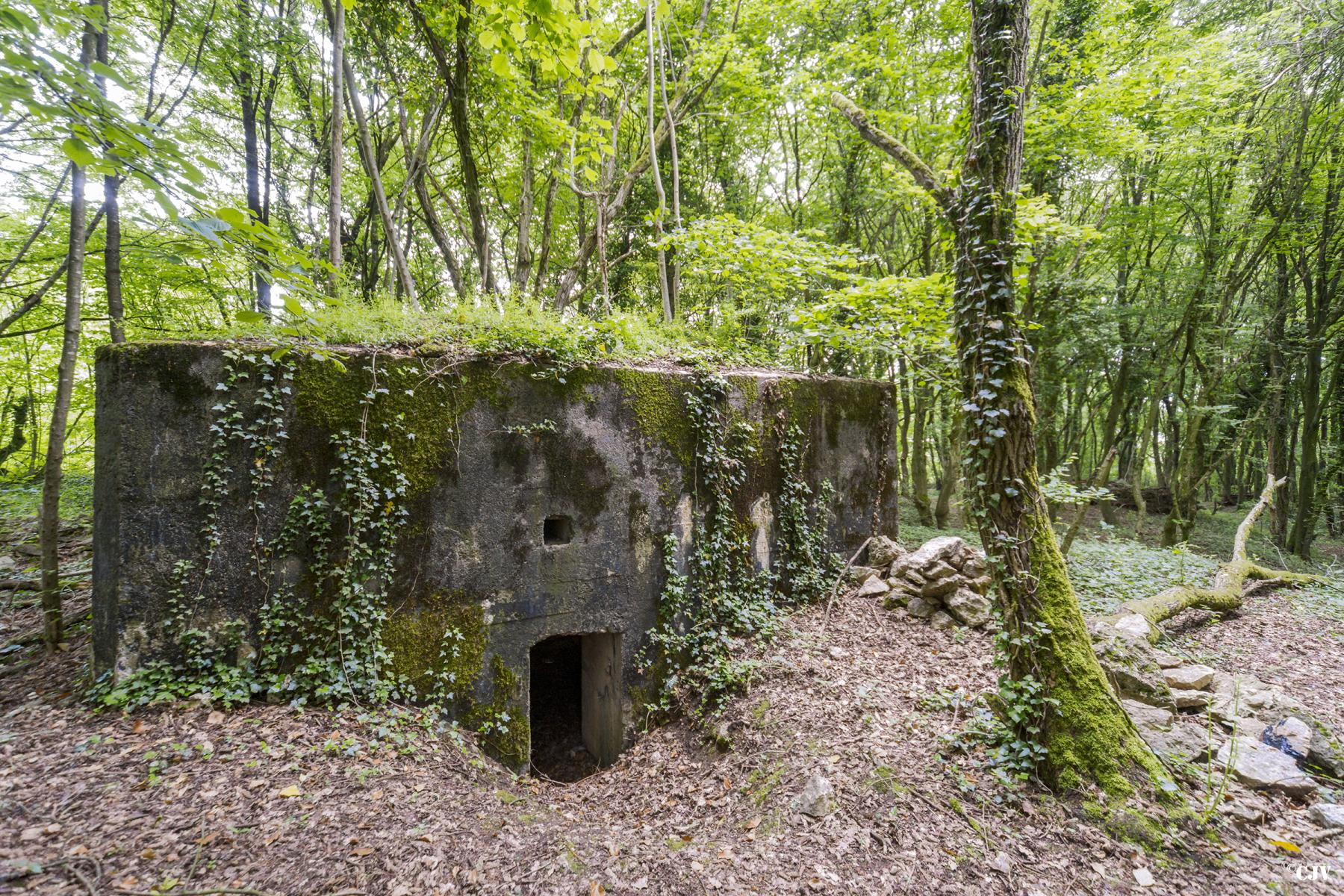 Ligne Maginot - ROUY 3 - (Blockhaus pour arme infanterie) -  - Lia VERMEULEN