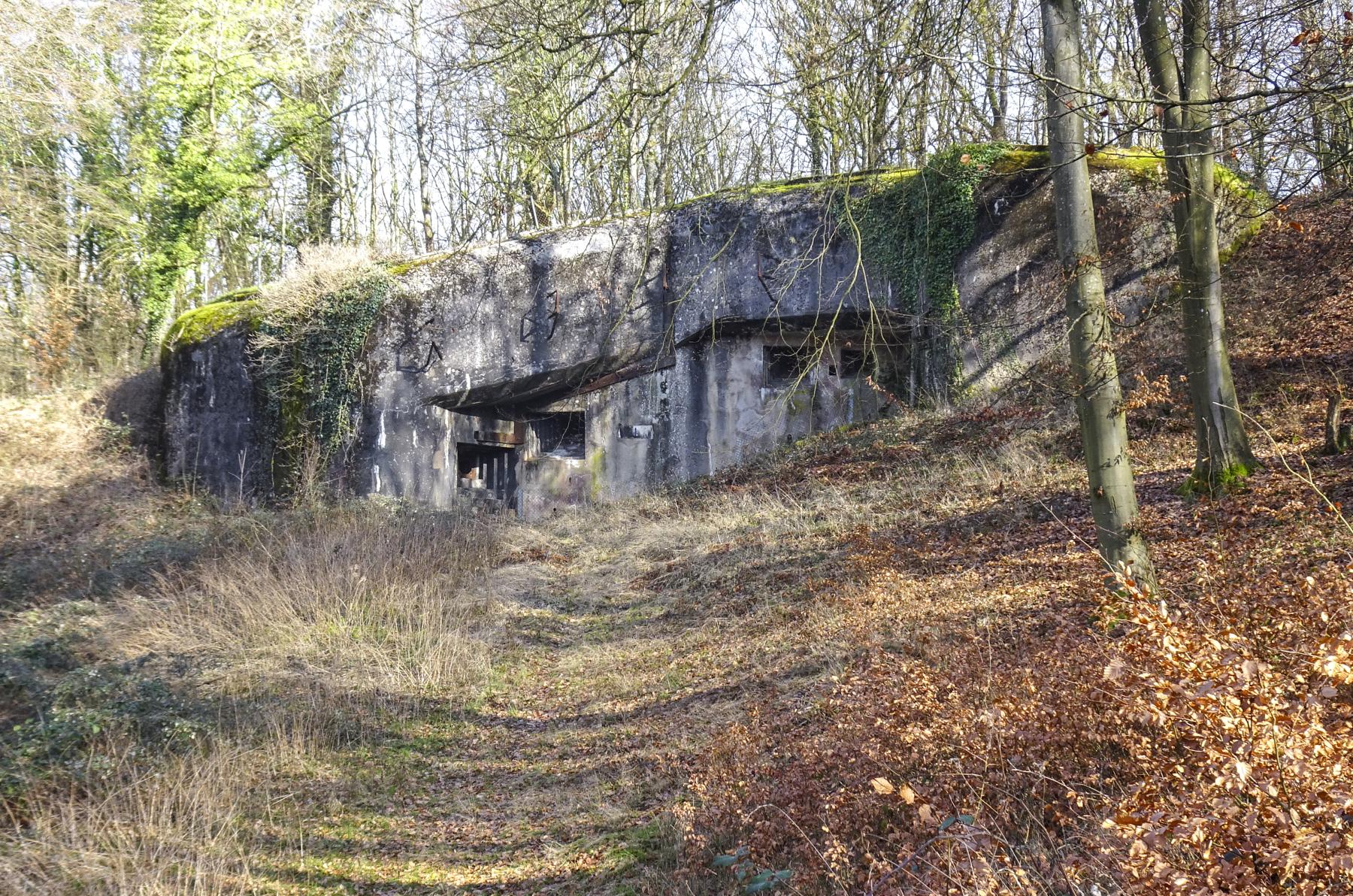 Ligne Maginot - HACKENBERG - A19 - (Ouvrage d'artillerie) - Bloc 21
Vue d'ensemble - Marc Fossoul