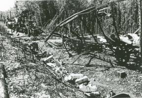 Ligne Maginot - 373° Régiment d'Artillerie Lourde sur Voie Ferrée (373° RALVF) - Train ALVF détruit près de Altenach (68).
Probablement un convoi du 373° RALVF en place dans ce secteur
