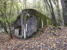 Ligne Maginot - WELSCHBRUCH SUD - (Blockhaus pour canon) - 