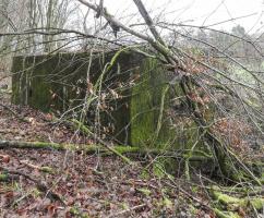 Ligne Maginot - BB355 - (Blockhaus pour canon) - La  façade de tir quelque peu encombrée par des branchages.