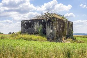 Ligne Maginot - HINTER STEINWEG 2 - (Blockhaus pour canon) - 