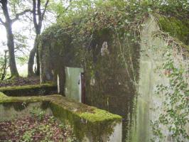 Ligne Maginot - M65B - BOIS DE BRILL 1 - (Blockhaus pour arme infanterie) - L'entrée