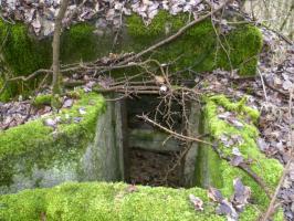 Ligne Maginot - NONNENWALD 11BIS - (Blockhaus de type indéterminé) -  Vue de l'entrée