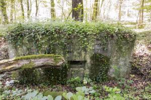 Ligne Maginot - UBERNIED 11 - (Blockhaus pour arme infanterie) - 