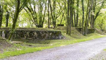 Ligne Maginot - BUCHWALD (I/23° RARF) - (Position d'artillerie préparée) - 