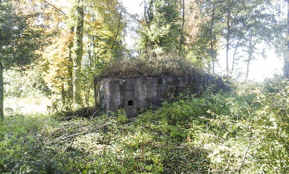 Ligne Maginot - STOCKEN 1 - (Blockhaus pour canon) -  - lanou