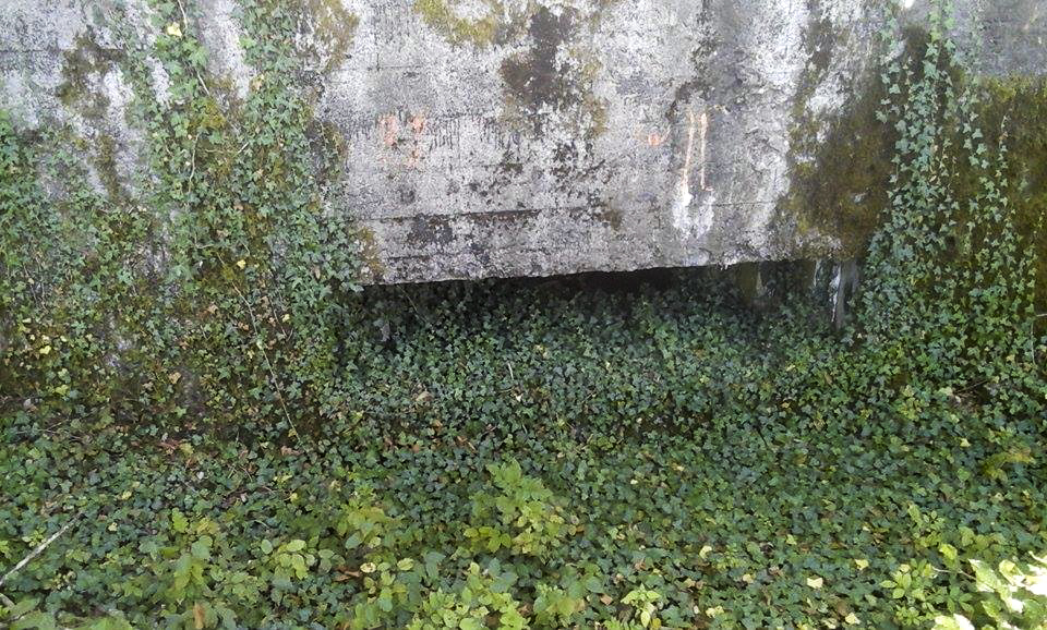 Ligne Maginot - STOCKEN 1 - (Blockhaus pour canon) -  - lanou