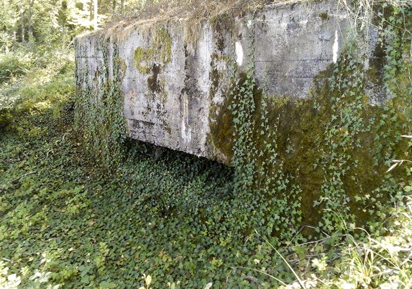Ligne Maginot - STOCKEN 1 - (Blockhaus pour canon) -  - lanou