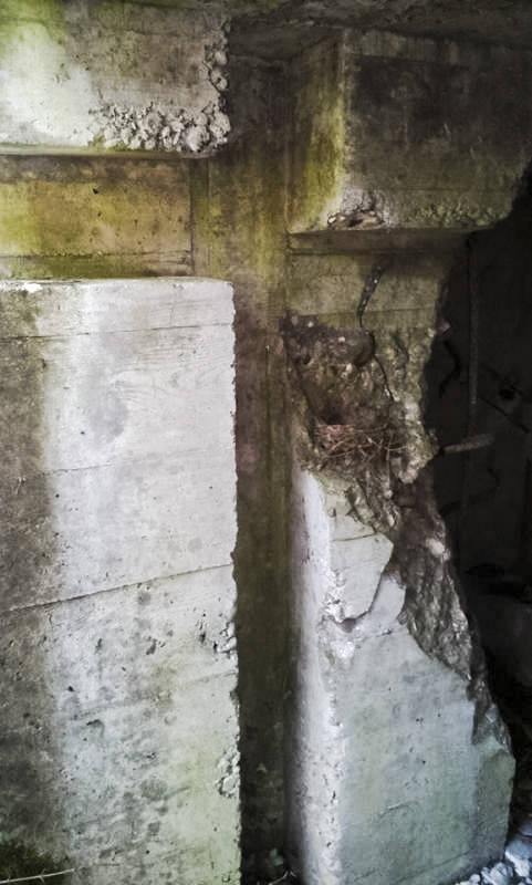 Ligne Maginot - STOCKEN 1 - (Blockhaus pour canon) -  - lanou