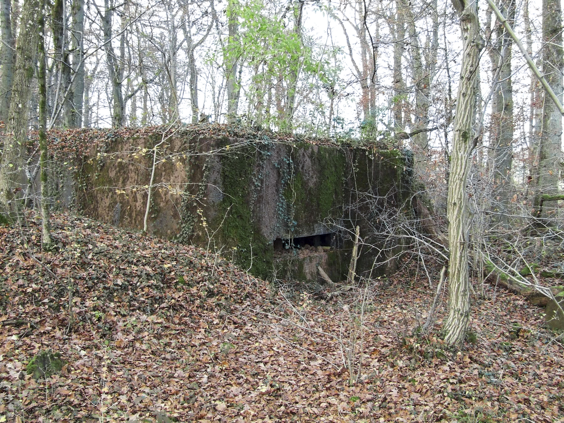 Ligne Maginot - STOCKEN 3 - (Blockhaus pour canon) -  - STENGER Mathieu