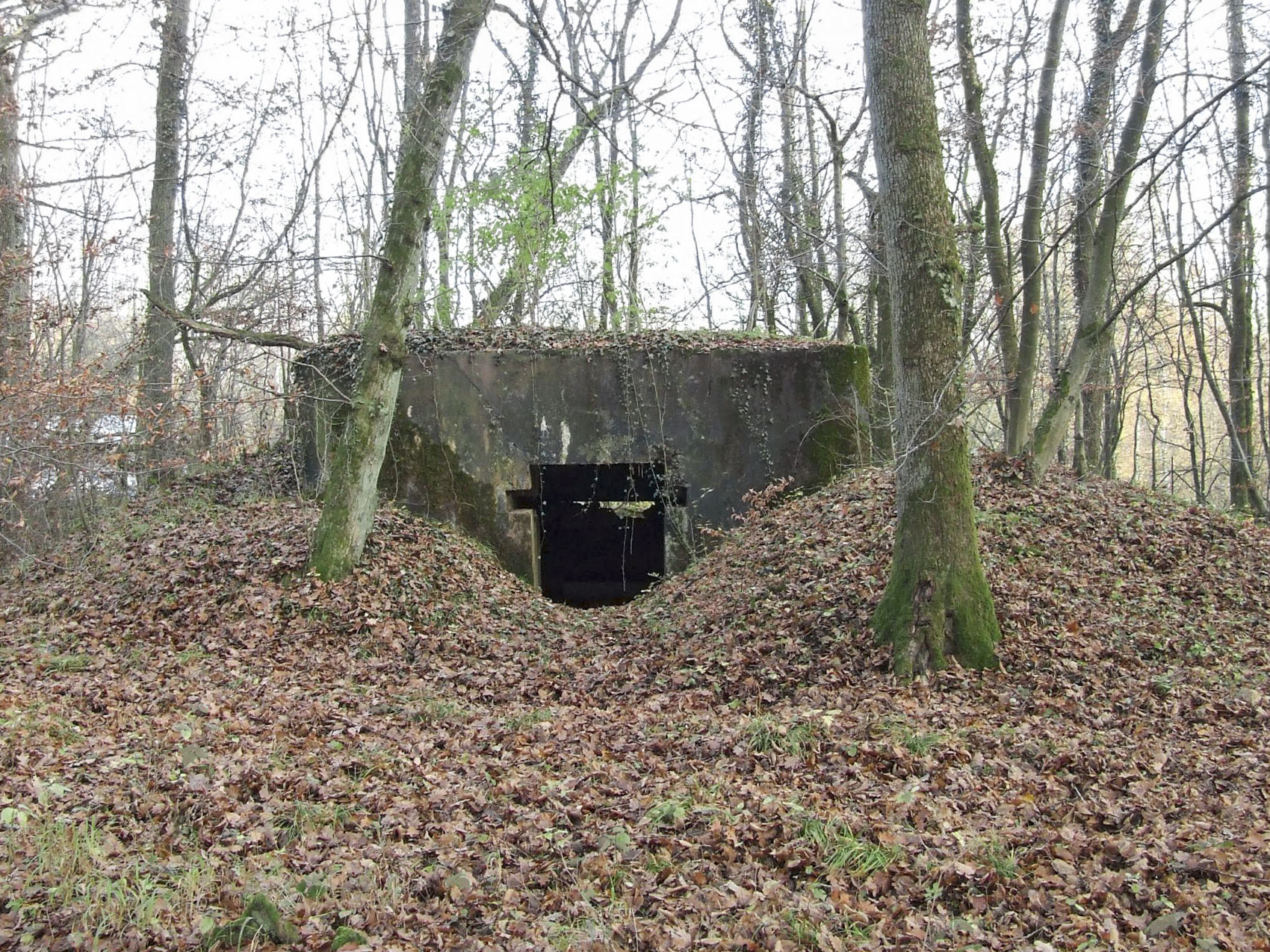 Ligne Maginot - STOCKEN 3 - (Blockhaus pour canon) -  - STENGER Mathieu