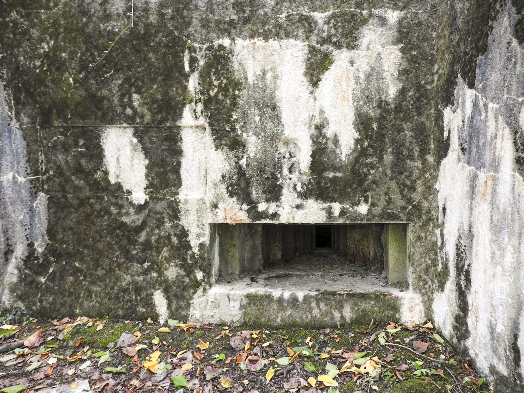 Ligne Maginot - WELSCHBRUCH CENTRE - (Blockhaus pour arme infanterie) - Le créneau pour la mitrailleuse - STENGER Mathieu