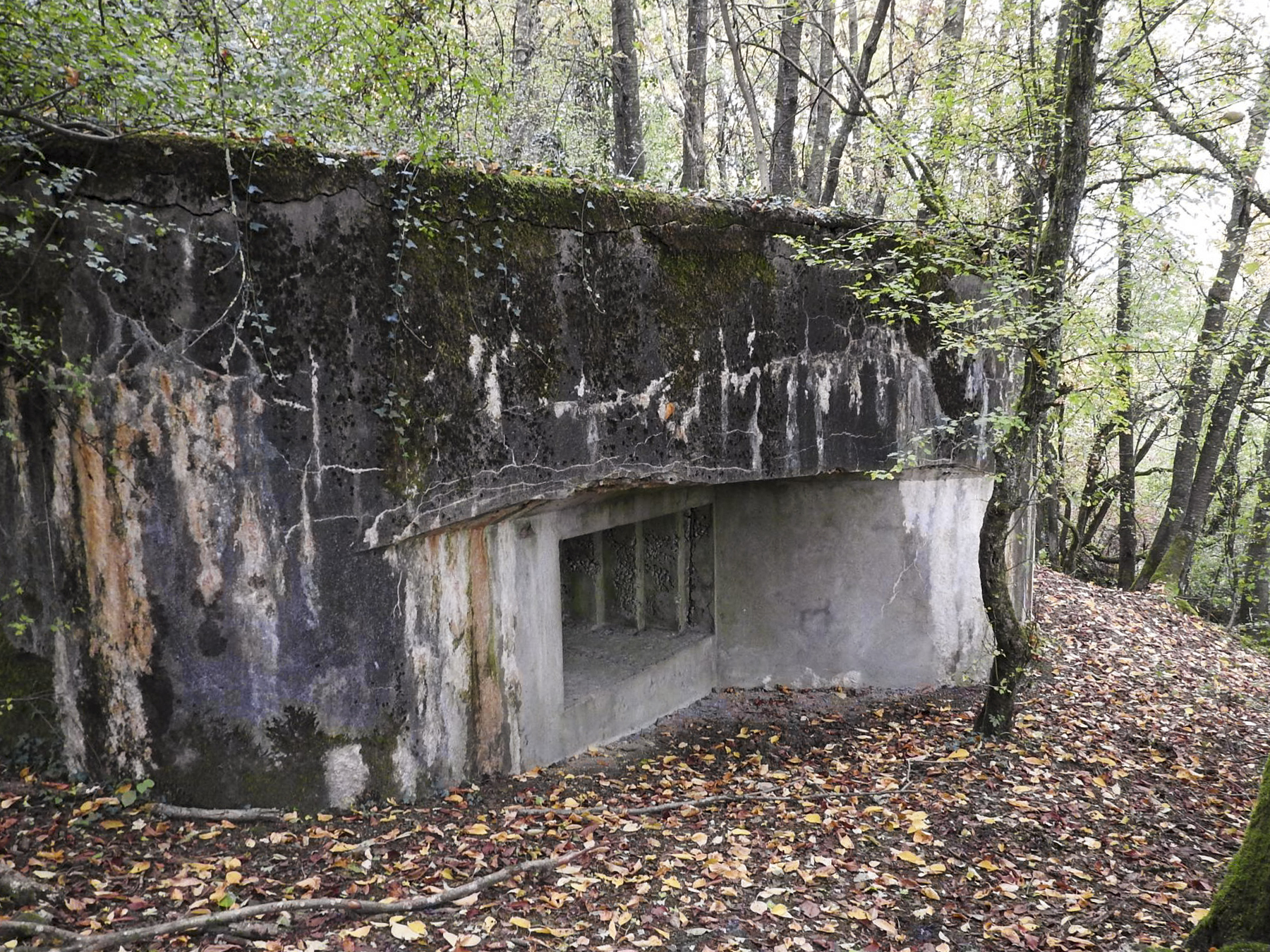 Ligne Maginot - WELSCHBRUCH SUD - (Blockhaus pour canon) -  - STENGER Mathieu