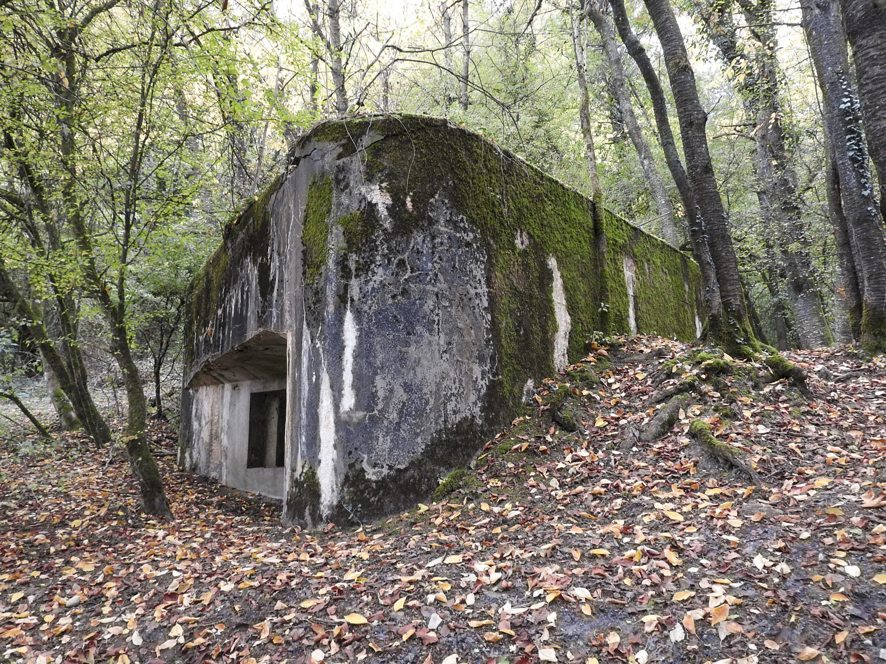 Ligne Maginot - WELSCHBRUCH SUD - (Blockhaus pour canon) -  - STENGER Mathieu