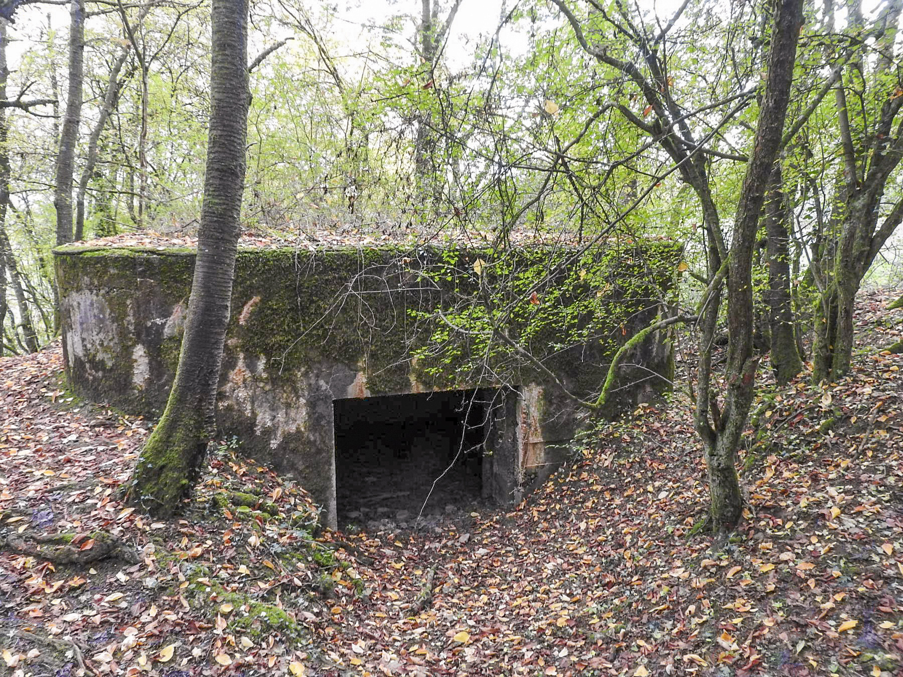 Ligne Maginot - WELSCHBRUCH SUD - (Blockhaus pour canon) - L'entrée du blockhaus - STENGER Mathieu