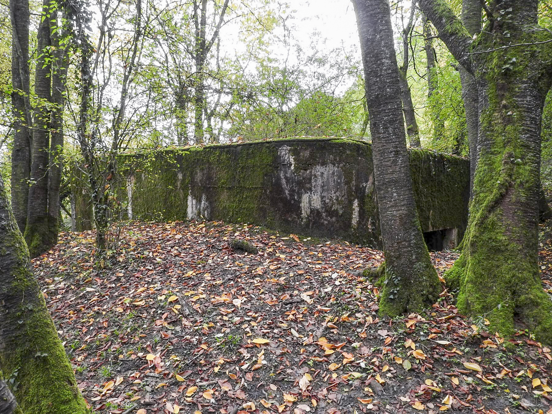 Ligne Maginot - WELSCHBRUCH SUD - (Blockhaus pour canon) -  - STENGER Mathieu
