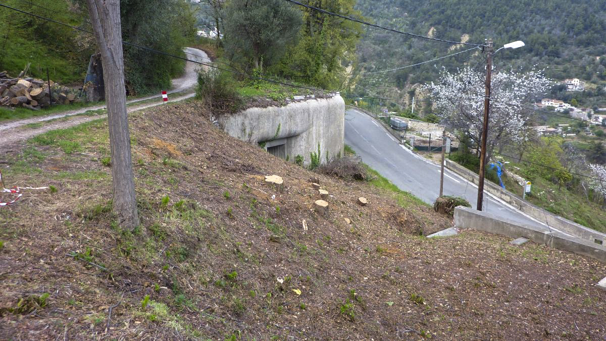 Ligne Maginot - COL DE GARDE (G) - EO10 - (Abri actif) - Bloc 4 - ELLENA-CUNY