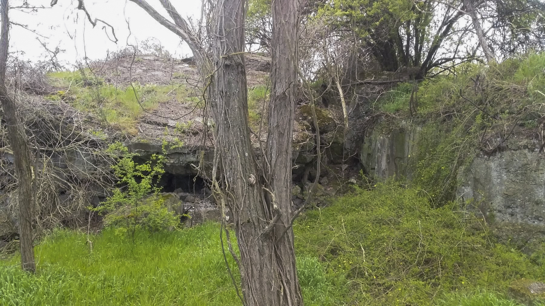 Ligne Maginot - 41/3 - BIESHEIM NORD - (Casemate d'infanterie - Double) - Vue de l'ouest - Joel MUNTZINGER