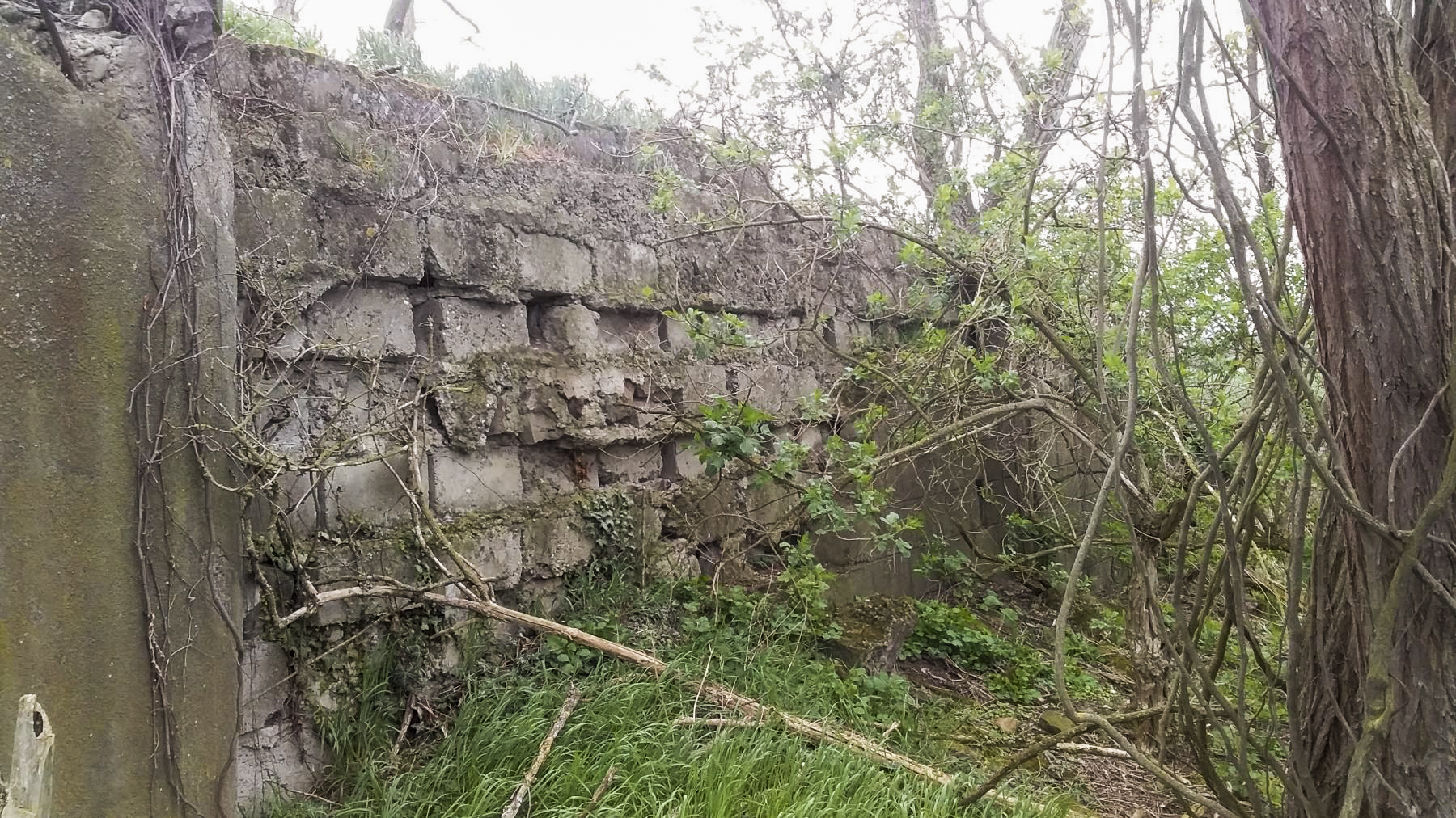 Ligne Maginot - 41/3 - BIESHEIM NORD - (Casemate d'infanterie - Double) - Mur coté droit - Joel MUNTZINGER