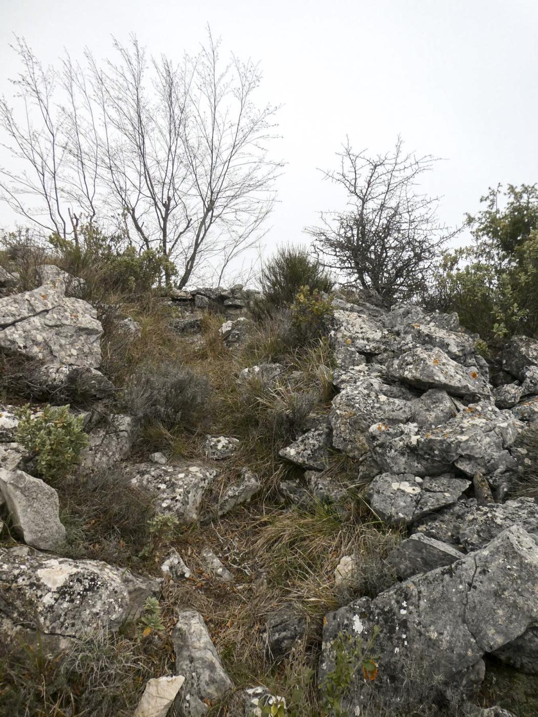 Ligne Maginot - CIME DES CABANELLES - (Observatoire d'artillerie) - L'accès de l'observatoire. - ELLENA Daniel - CUNY Philippe