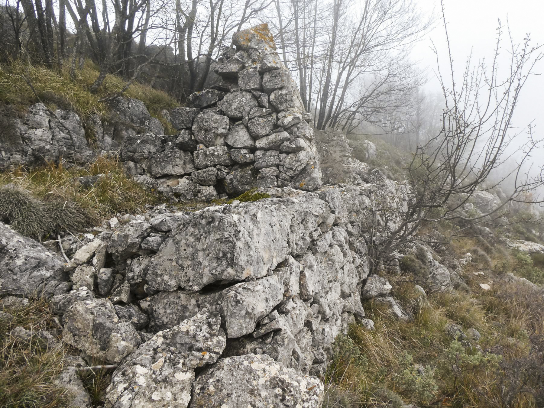 Ligne Maginot - CIME DES CABANELLES - (Observatoire d'artillerie) -  - ELLENA Daniel - CUNY Philippe