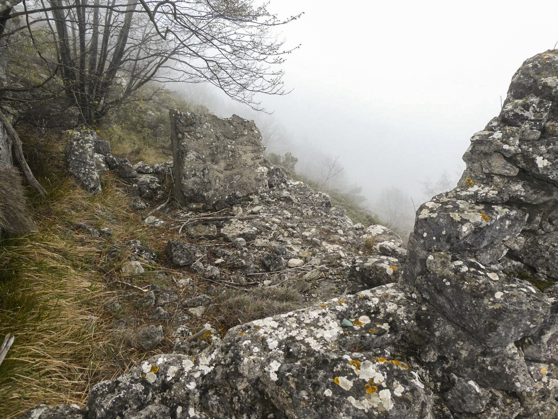 Ligne Maginot - CIME DES CABANELLES - (Observatoire d'artillerie) -  - ELLENA Daniel - CUNY Philippe