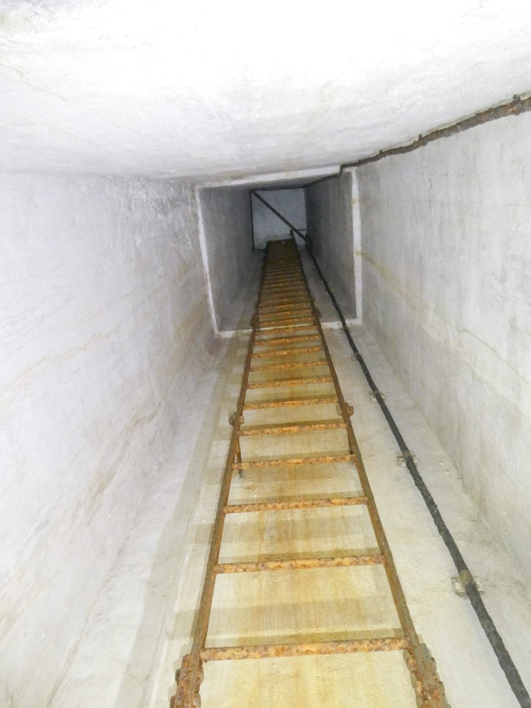 Ligne Maginot - COL DE GARDE (G) - EO10 - (Abri actif) - Bloc 3
L'echelle - ELLENA Daniel - CUNY Philippe