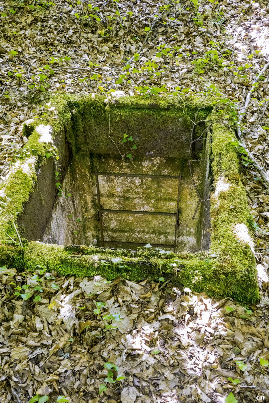 Ligne Maginot - Chambre de coupure 24A -  - Lia VERMEULEN