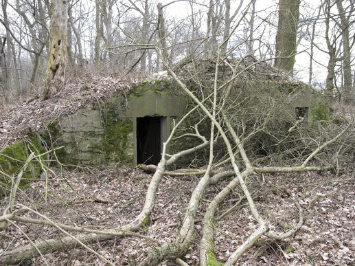 Ligne Maginot - AB1-II (1°CIE 146°RIF) - (PC de Sous-Quartier) -  - AALMA - www.lignemaginot.com