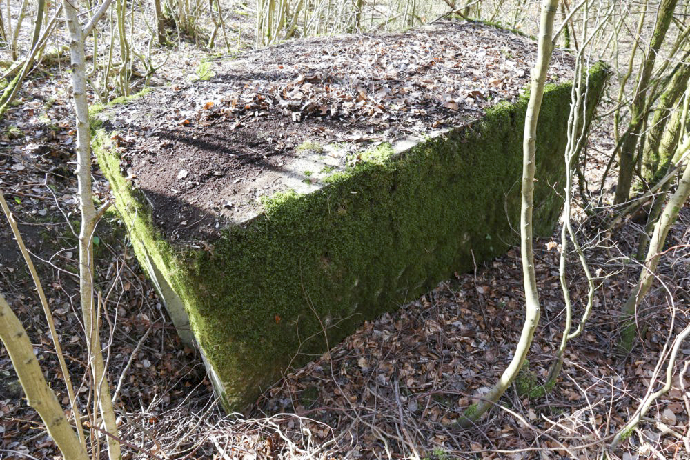 Ligne Maginot - AB5-C - (Blockhaus pour arme infanterie) -  - Alain Perouffe