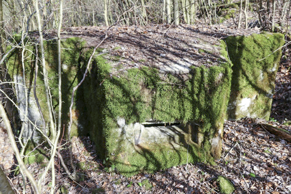 Ligne Maginot - AB5-C - (Blockhaus pour arme infanterie) -  - Alain Perouffe