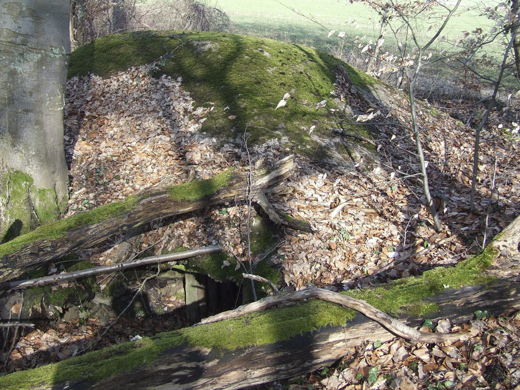 Ligne Maginot - AB5-III - (Observatoire indéterminé) - L'arrière du blockhaus. - STENGER Mathieu