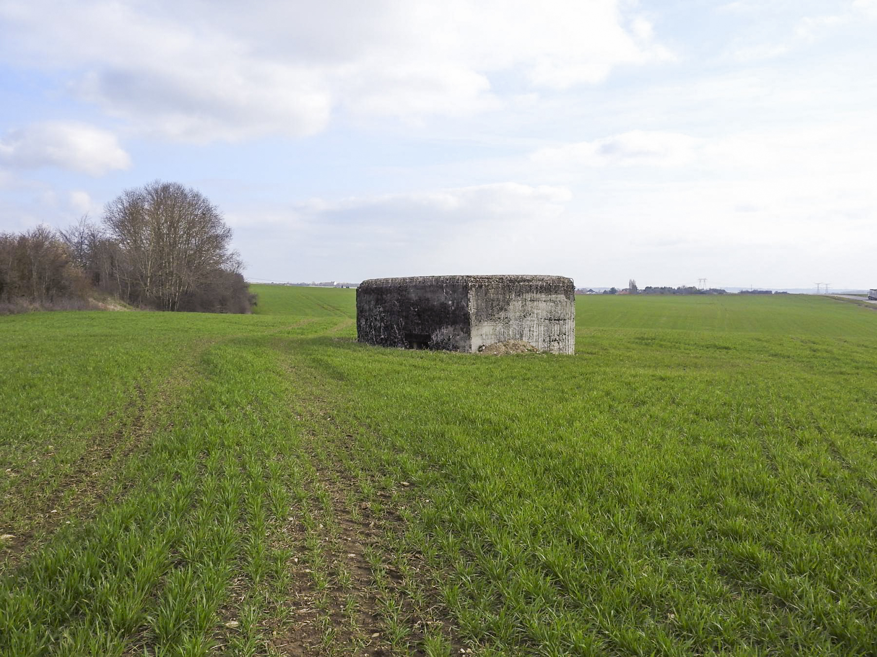 Ligne Maginot - HASENBERG 2 - (Blockhaus pour arme infanterie) -  - STENGER Mathieu