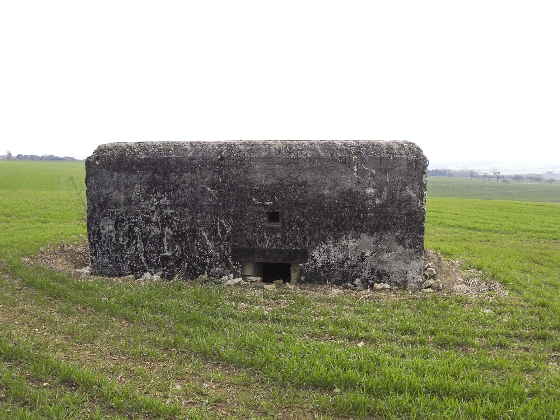 Ligne Maginot - HASENBERG 2 - (Blockhaus pour arme infanterie) - L'entrée remblayée - STENGER Mathieu