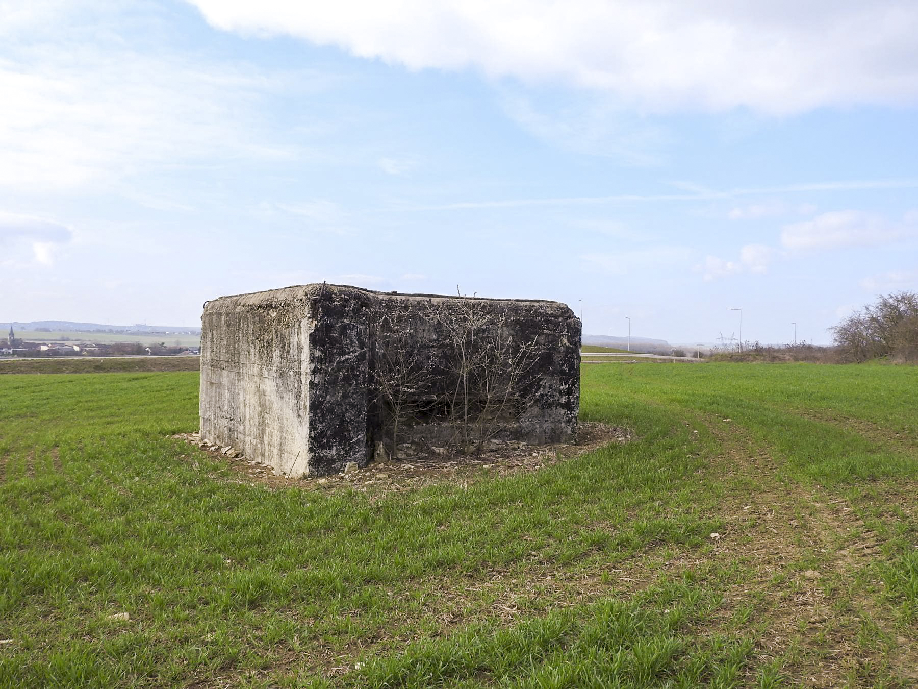 Ligne Maginot - HASENBERG 2 - (Blockhaus pour arme infanterie) - La façade de tir - STENGER Mathieu