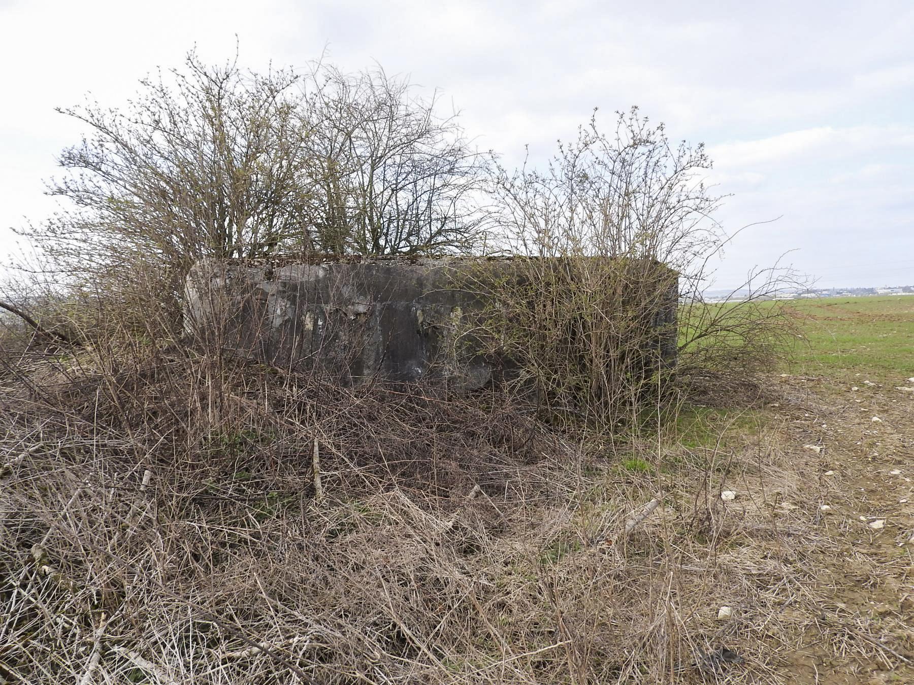 Ligne Maginot - LUTERSBERG 1 - (Blockhaus pour arme infanterie) - La façade de tir est remblayée - STENGER Mathieu