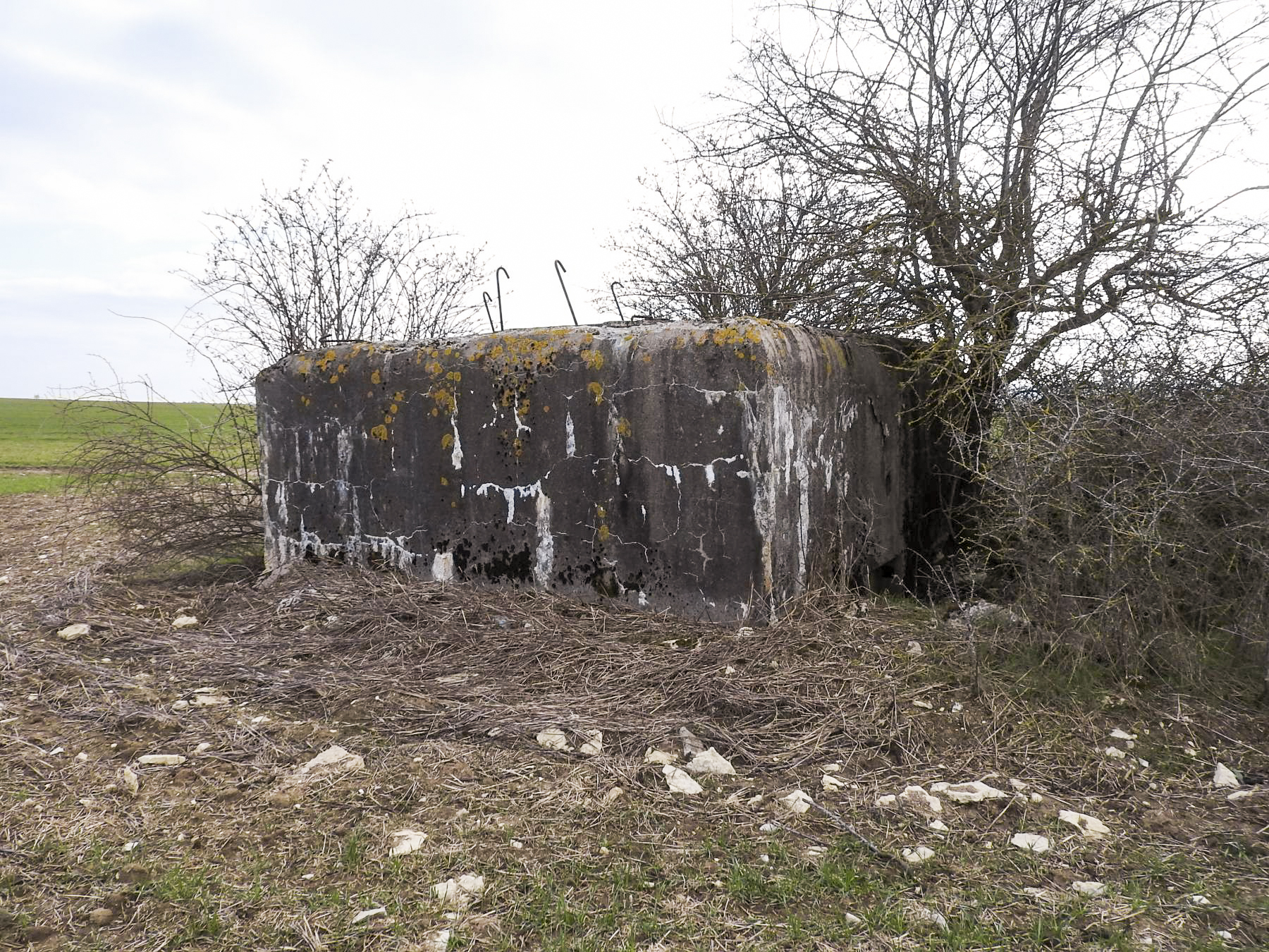 Ligne Maginot - LUTERSBERG 1 - (Blockhaus pour arme infanterie) - La façade arrière - STENGER Mathieu