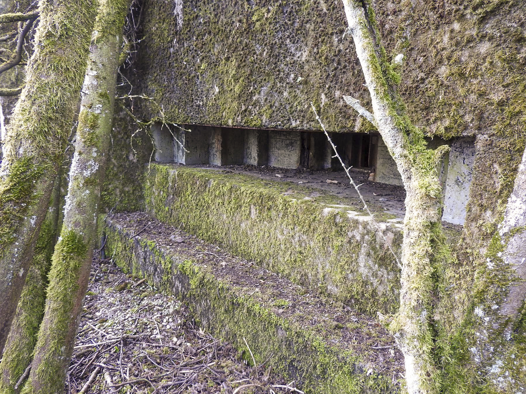 Ligne Maginot - LUTERSBERG 2 - (Blockhaus pour arme infanterie) - L'embrasure pour mitrailleuse - STENGER Mathieu