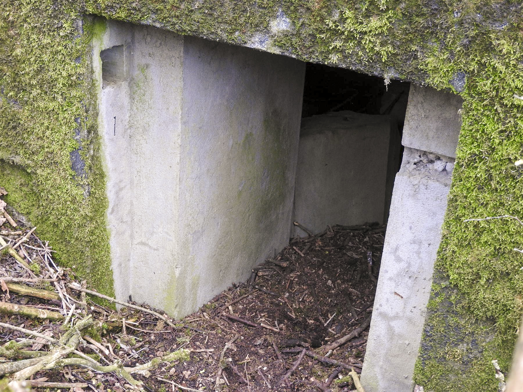 Ligne Maginot - LUTERSBERG 2 - (Blockhaus pour arme infanterie) - L'entrée du blockhaus - STENGER Mathieu