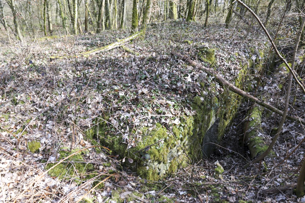 Ligne Maginot - TETING (6° CIE II/146° RIF) - (PC de Sous-Quartier) -  - Alain Perouffe