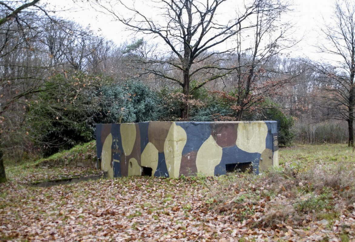 Ligne Maginot - ROUTE DE CARLING  (AVANT POSTE) - (Blockhaus pour arme infanterie) -                                      - Michel et Philippe Zimmer